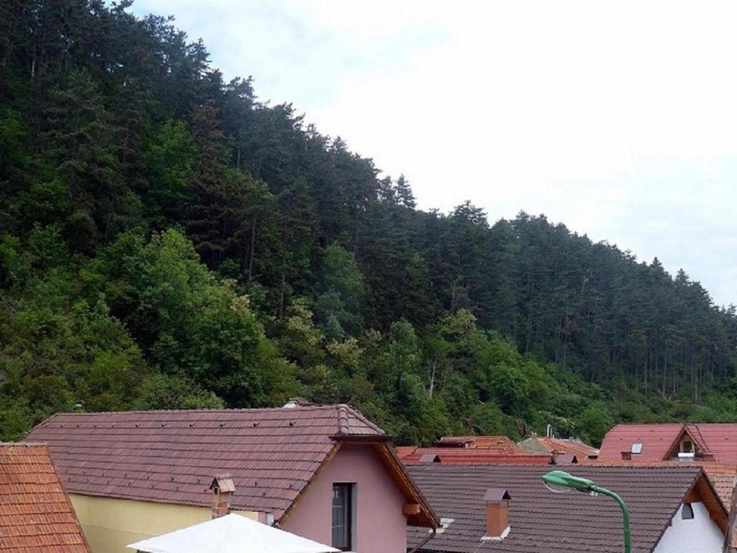 Casa Regal *